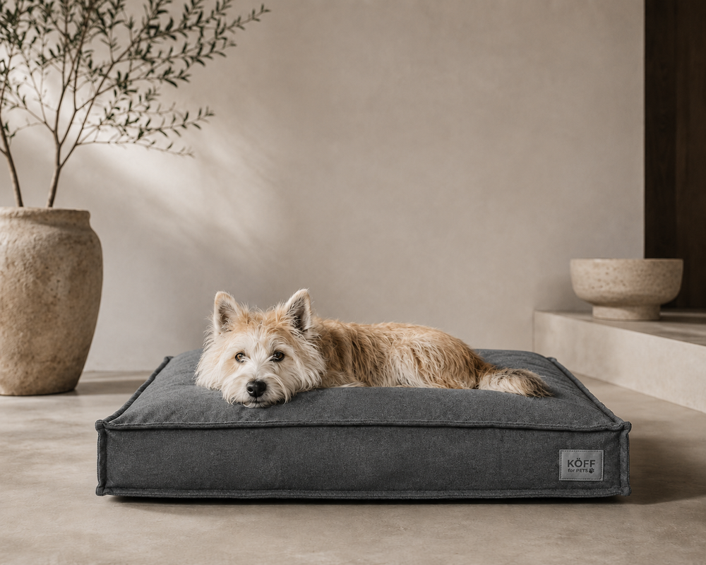 Köff for Pets