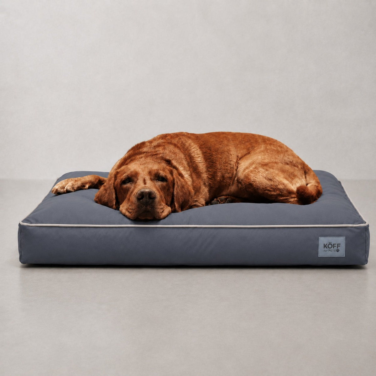 Talla L · 120 × 80 cm — Gris Plomo — perro echado sobre la Cama Köff Form Exterior