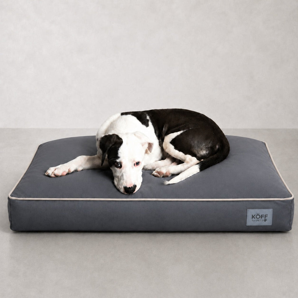 Perro echado sobre la Cama Köff Form Exterior, pieza del Conjunto Para los Dos