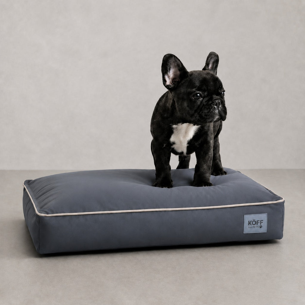 Talla S · 65 × 50 cm — Gris Plomo — perro echado sobre la Cama Köff Form Exterior