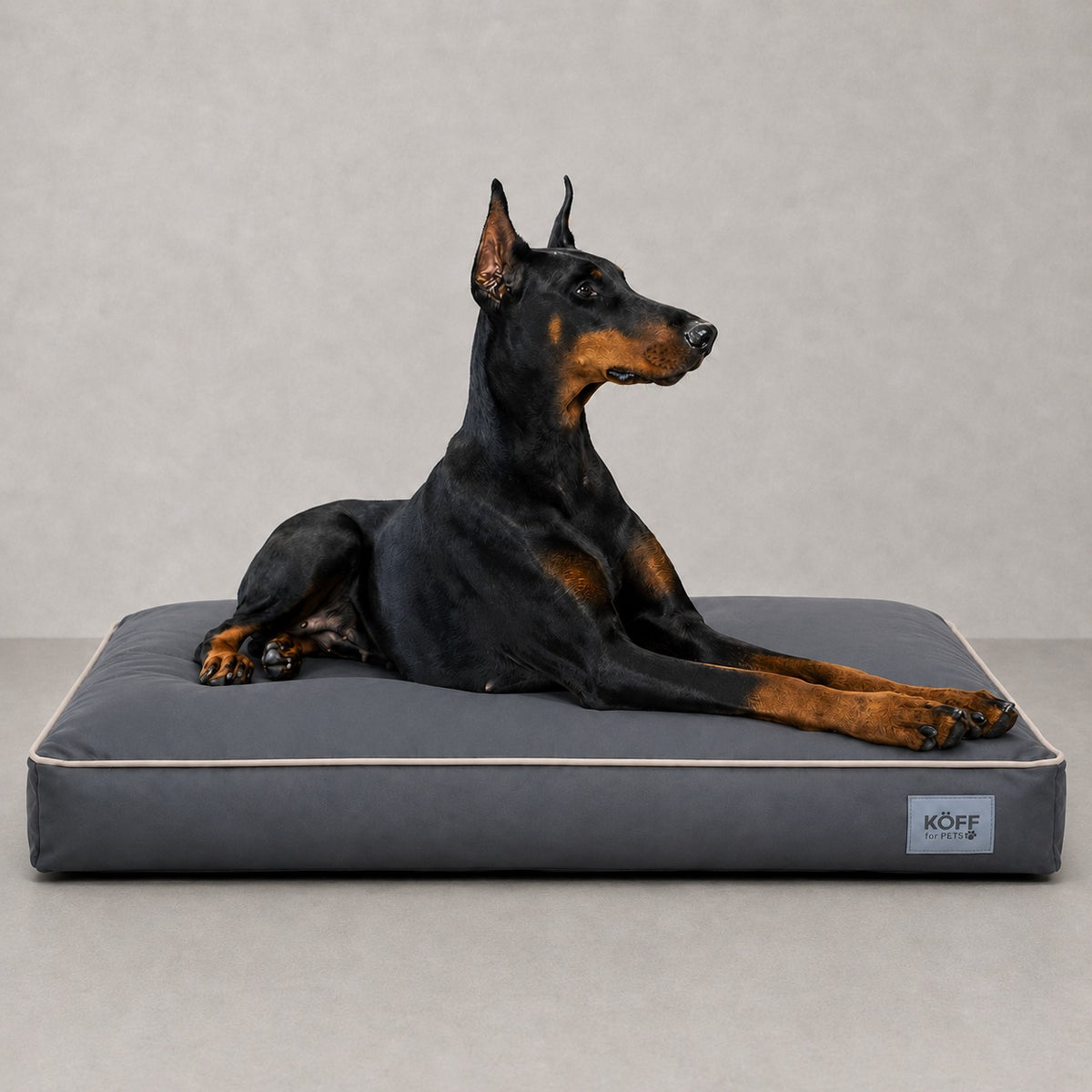 Talla XL · 130 × 90 cm — Gris Plomo — perro echado sobre la Cama Köff Form Exterior