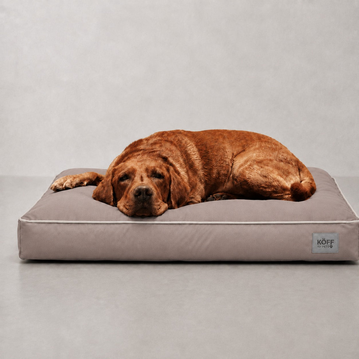 Talla L · 120 × 80 cm — Taupe — perro echado sobre la Cama Köff Form Exterior