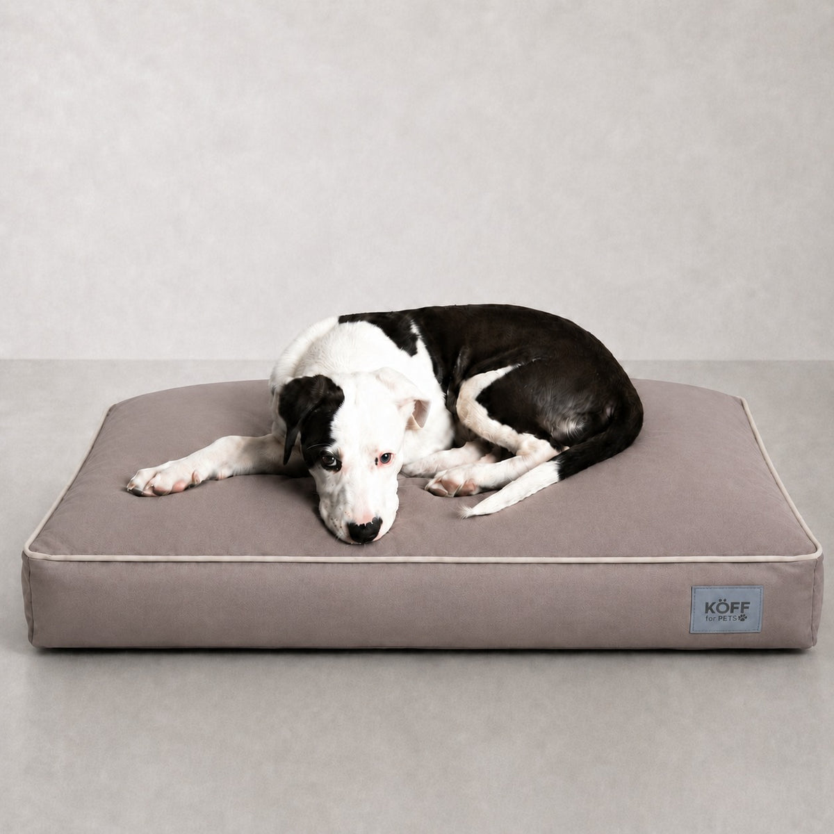 Talla M · 90 × 60 cm — Taupe — perro echado sobre la Cama Köff Form Exterior