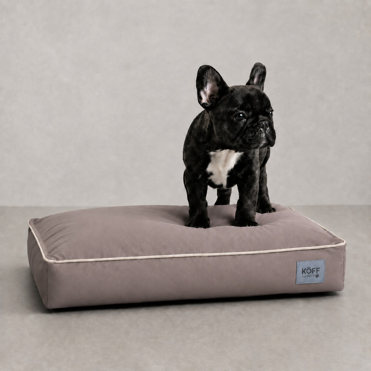 Talla S · 65 × 50 cm — Taupe — perro echado sobre la Cama Köff Form Exterior