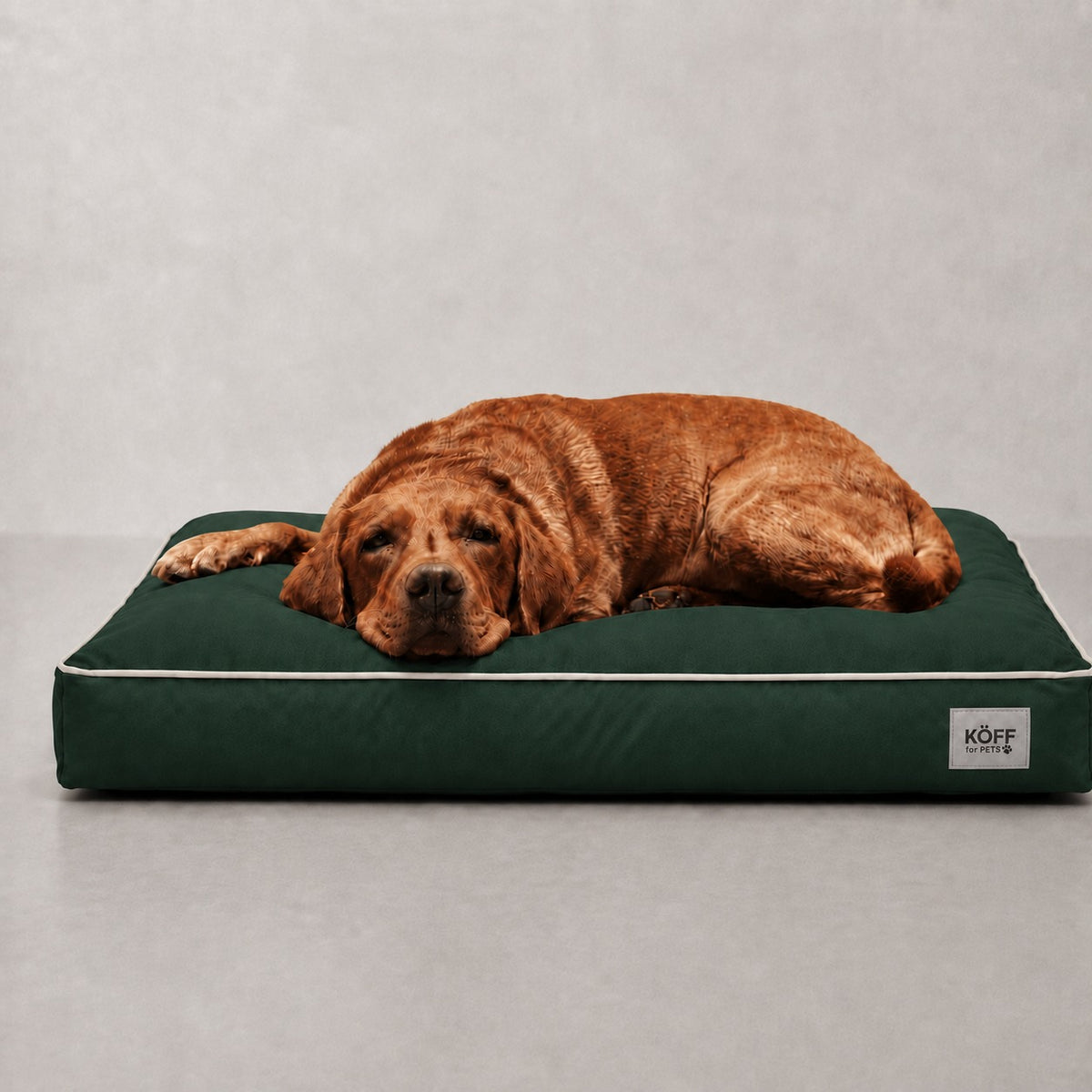 Talla L · 120 × 80 cm — Verde Bosque — perro echado sobre la Cama Köff Form Exterior