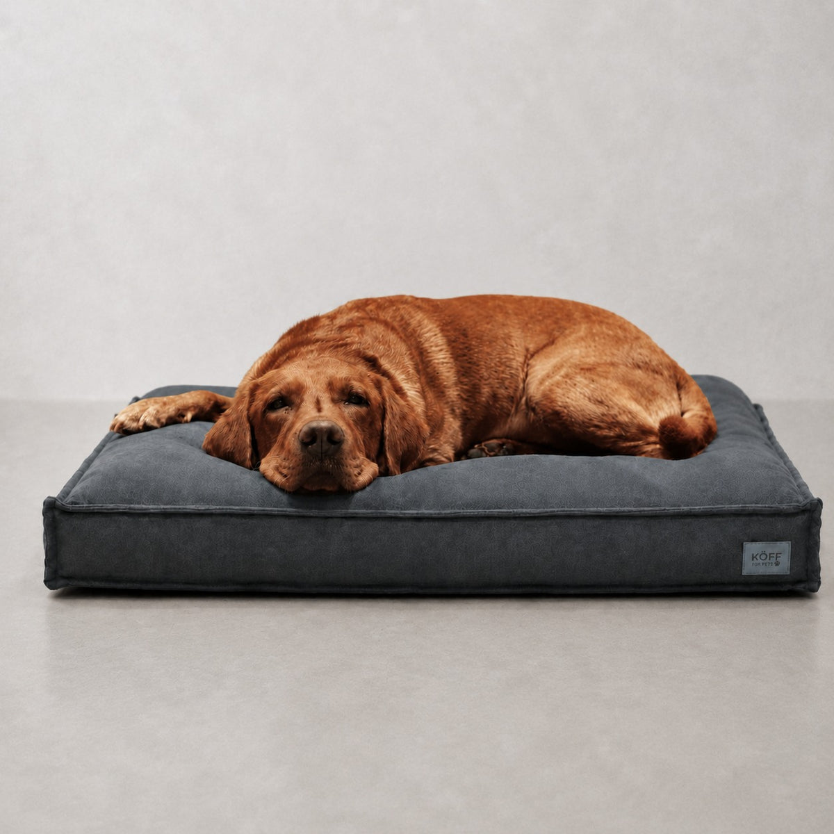 Talla L · 120 × 80 cm — perro echado sobre la Cama Köff Form Interior