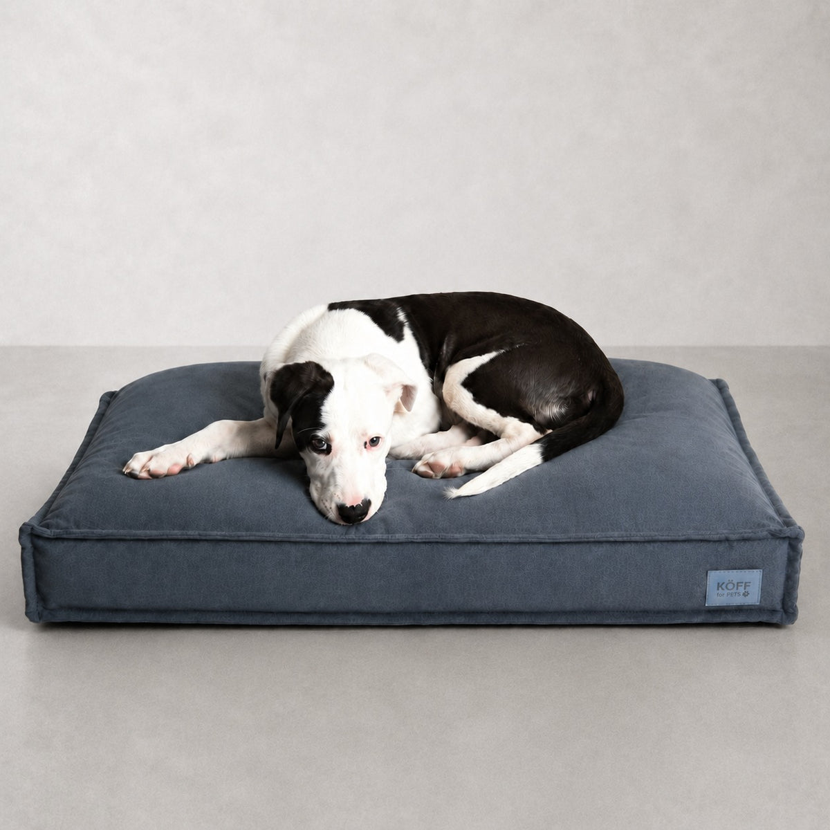 Talla M · 90 × 60 cm — perro echado sobre la Cama Köff Form Interior