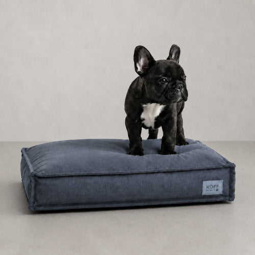 Talla S · 65 × 50 cm — perro echado sobre la Cama Köff Form Interior