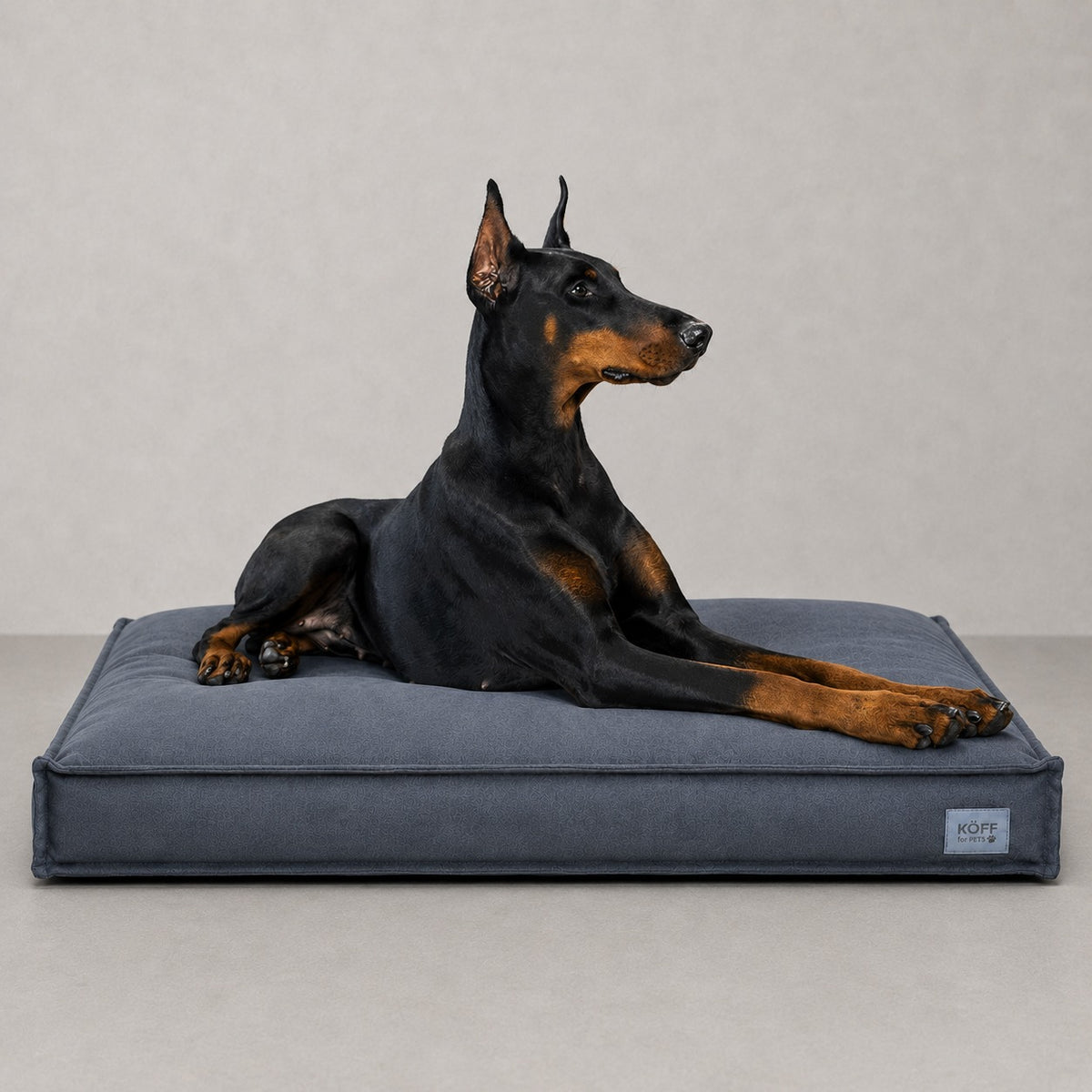Talla XL · 130 × 90 cm — perro echado sobre la Cama Köff Form Interior