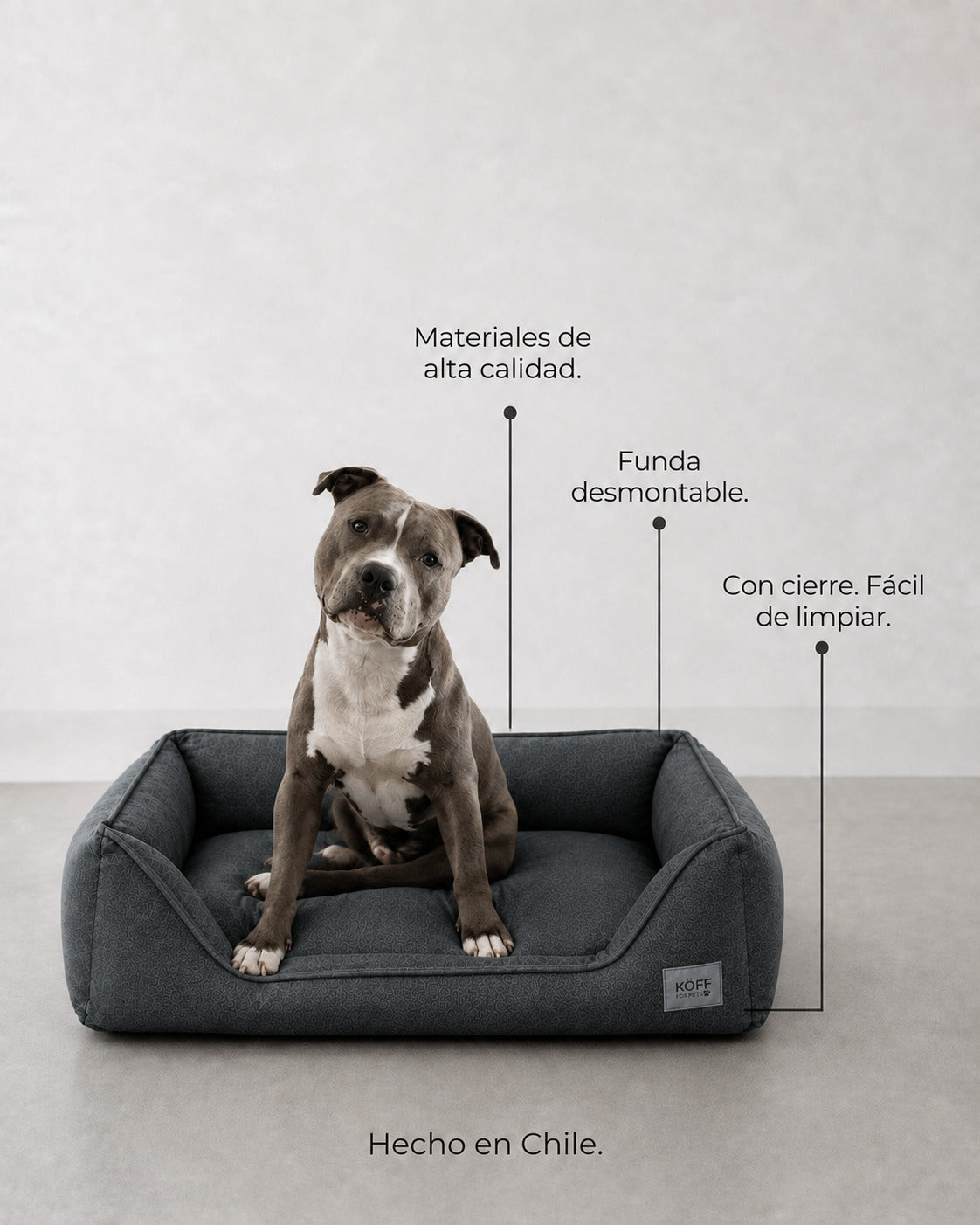Talla M · 90 × 60 cm — perro sentado en la cama, con las características señaladas