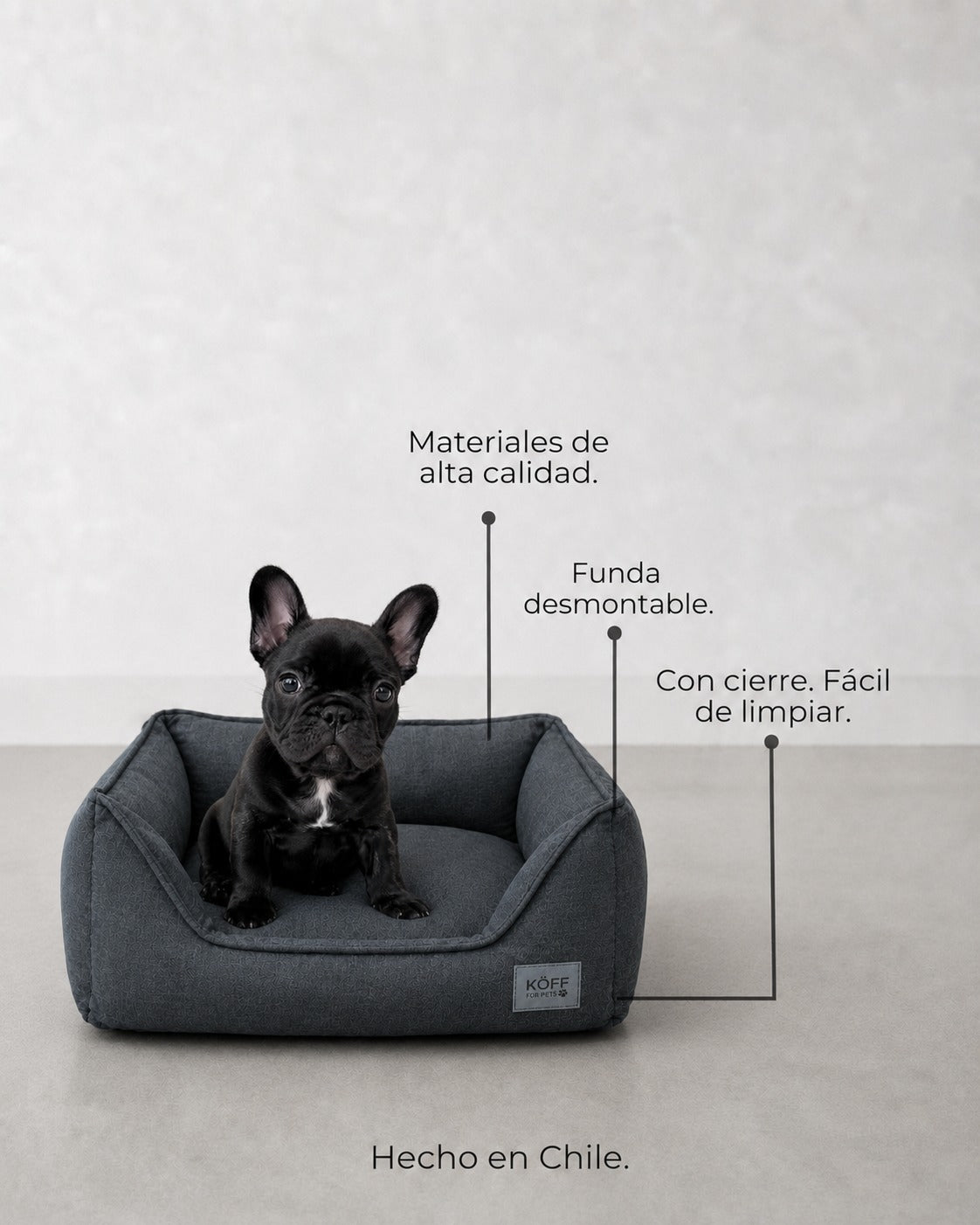Talla S · 65 × 50 cm — perro sentado en la cama, con las características señaladas