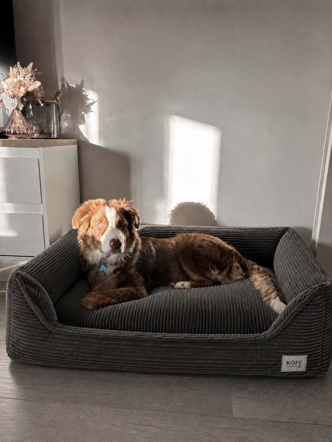 Talla L · 120 × 80 cm — perro descansando en la cama junto a una ventana