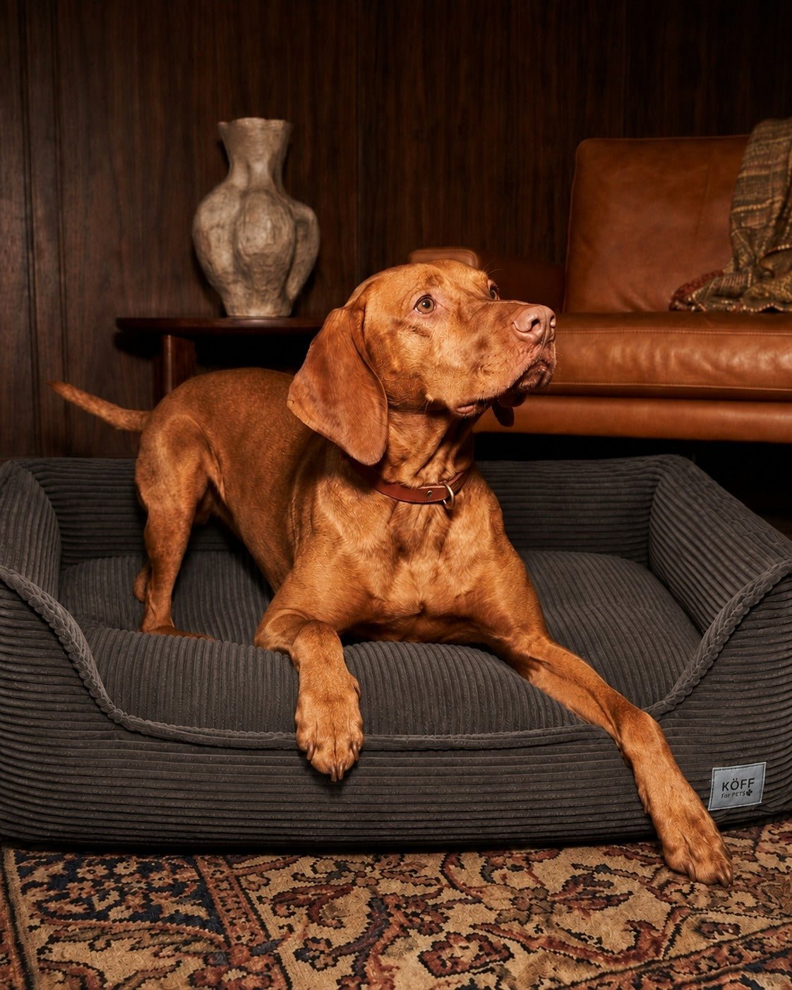 Talla L · 120 × 80 cm — vizsla echado en la cama, sobre una alfombra persa
